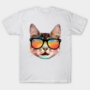 House cat summer T-Shirt
